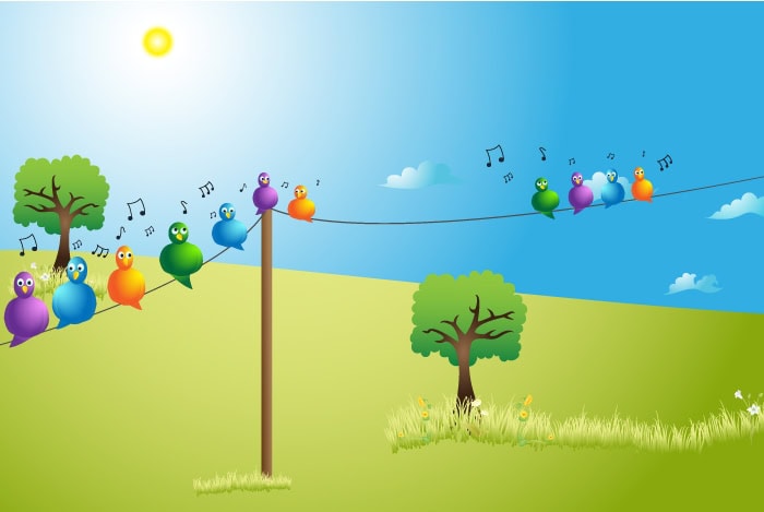 Birds Singing on a line