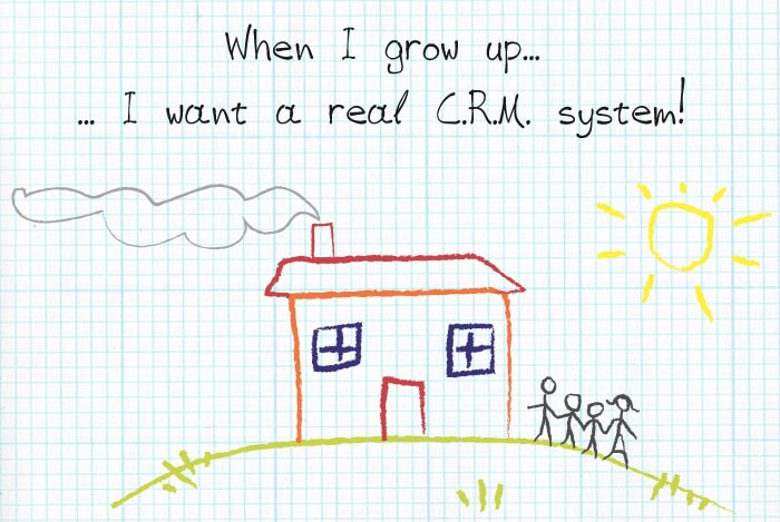When I grow up I want a real CRM System
