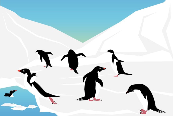 Penguins Leaping