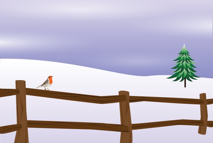 Robin sat on a fence