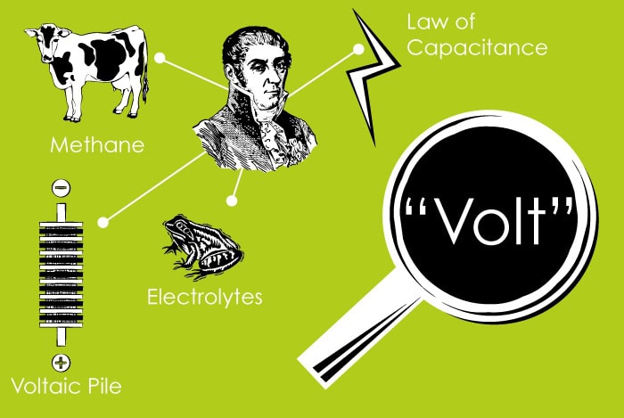 OpenCRM Searching for Someone