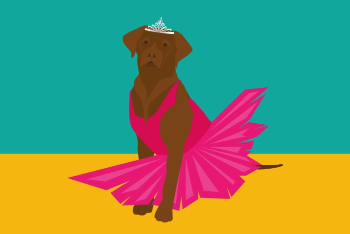 Bailey the Ballerina