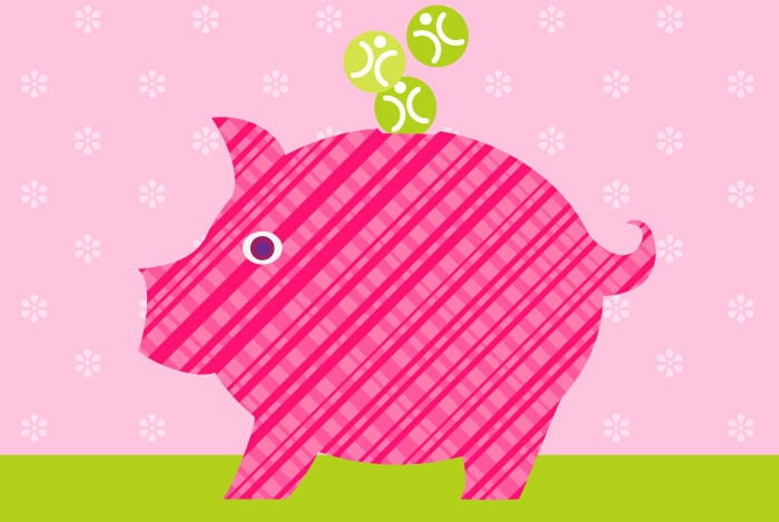 OpenCRM Piggy Bank