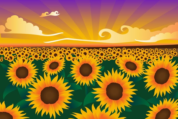 OpenCRM Sunflowers