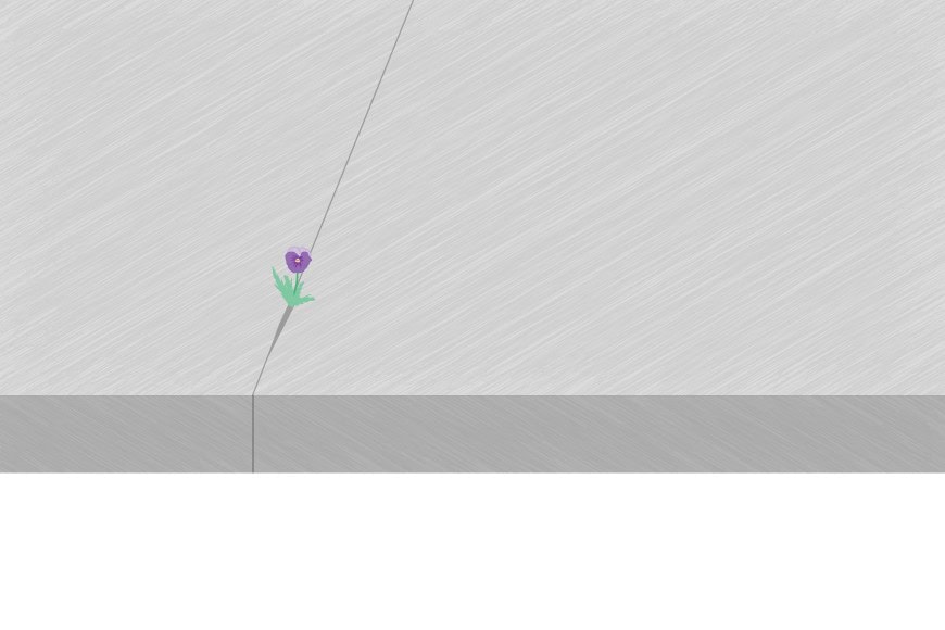 Managing a Business during Covid and Brexit